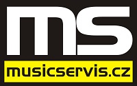 music servis